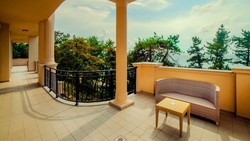 Georgia Palace Hotel & SPA - Genel