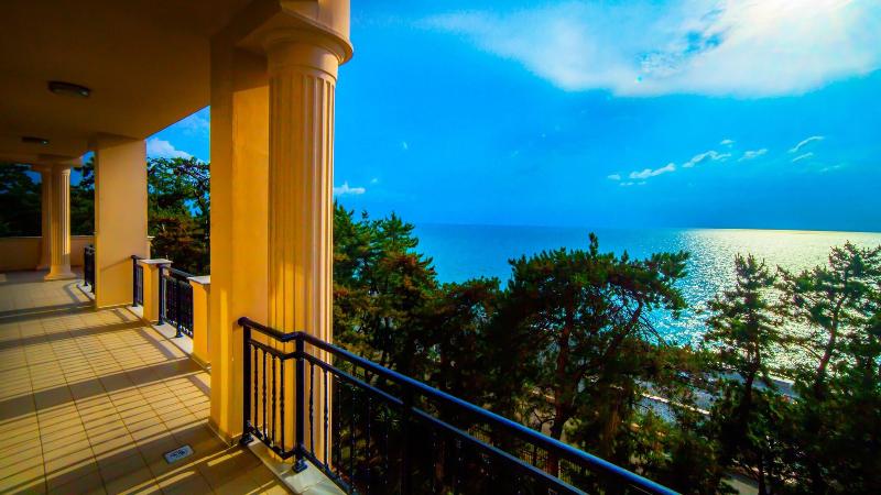 Georgia Palace Hotel & SPA - Genel