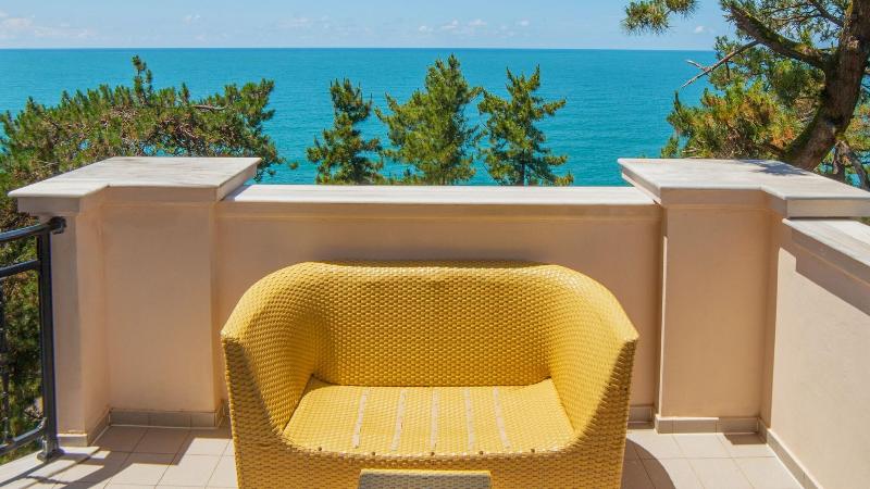 Georgia Palace Hotel & SPA - Genel