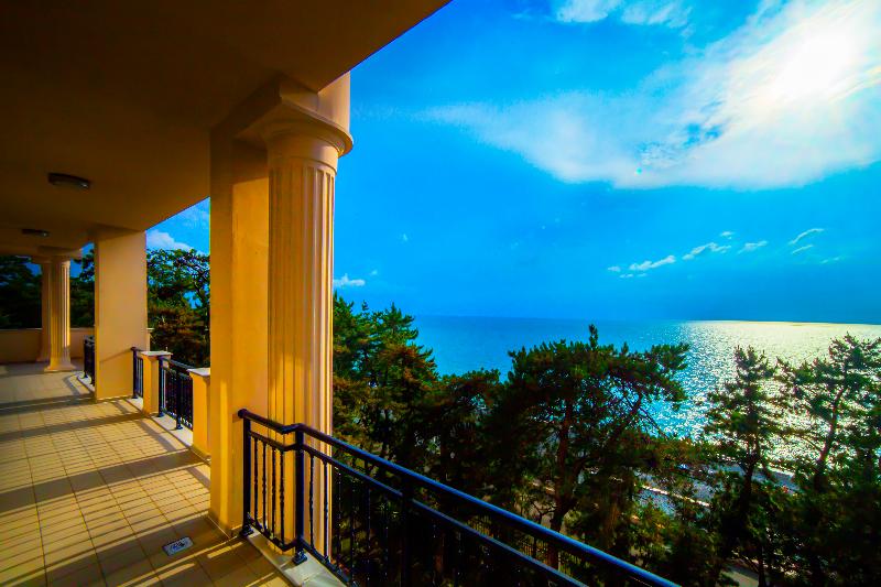 Georgia Palace Hotel & SPA - Genel