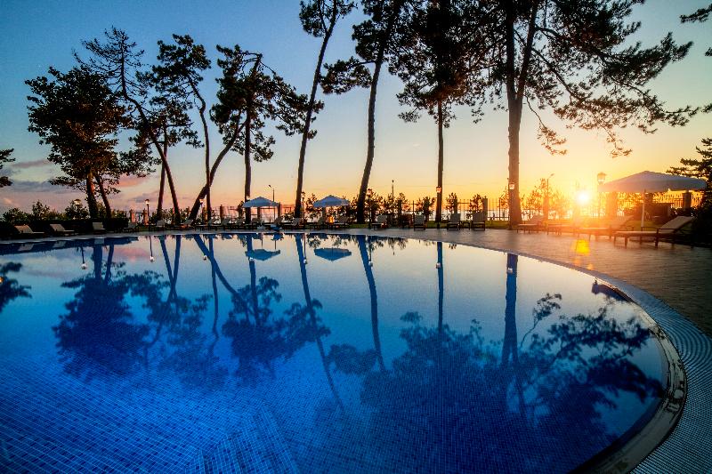 Georgia Palace Hotel & SPA - Havuz