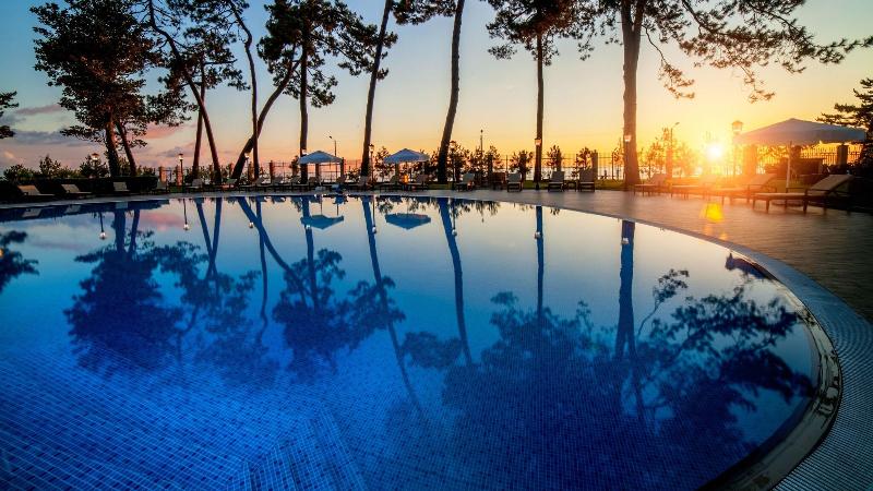 Georgia Palace Hotel & SPA - Havuz