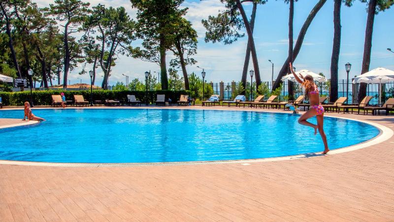 Georgia Palace Hotel & SPA - Havuz