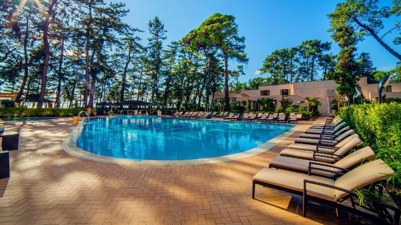 Georgia Palace Hotel & SPA - Havuz