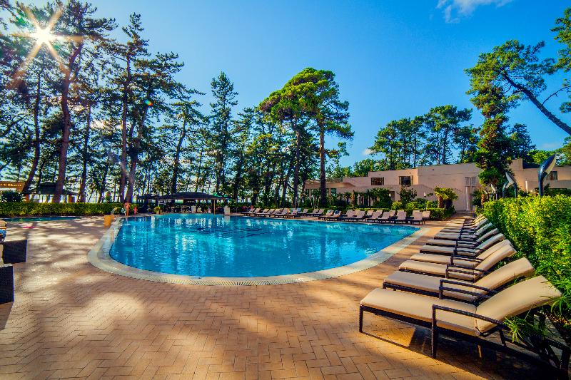 Georgia Palace Hotel & SPA - Havuz