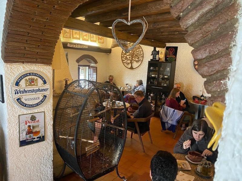 Dom Dinis - Bar