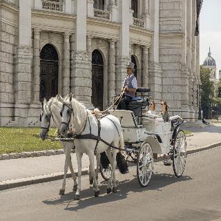 Anantara Palais Hansen Vienna fotoÄŸrafÄ±