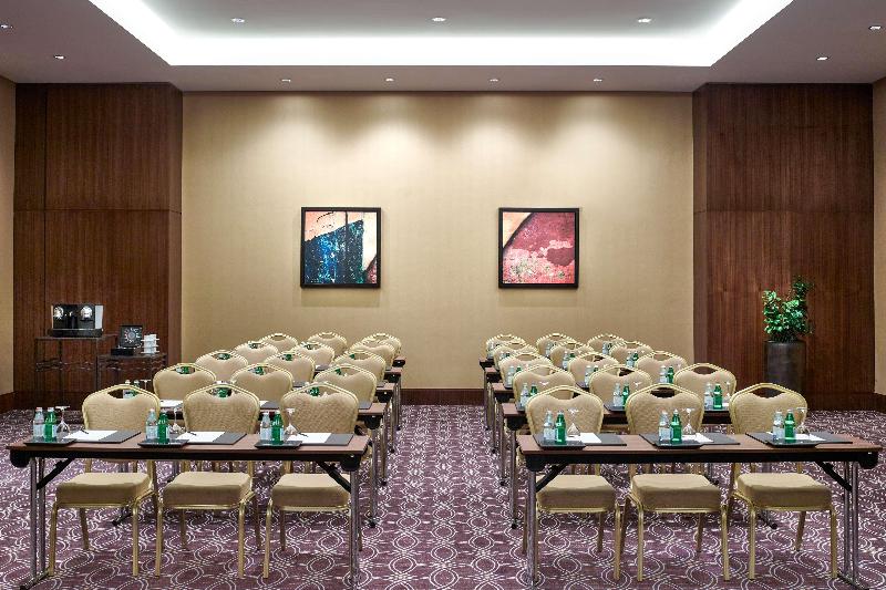 Swissôtel Al Ghurair - Toplantı