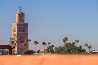 Riad Zinoun