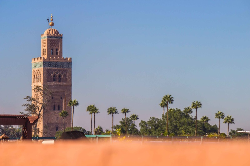 Riad Zinoun - Genel