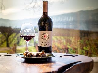 The Wine House Hotel - Quinta da Pacheca fotoÄŸrafÄ±