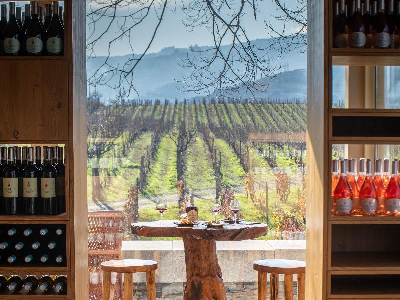 The Wine House Hotel - Quinta da Pacheca - Bar
