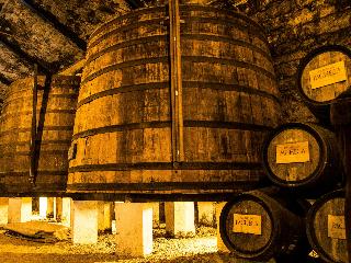 The Wine House Hotel - Quinta da Pacheca fotoÄŸrafÄ±