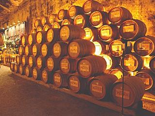 The Wine House Hotel - Quinta da Pacheca fotoÄŸrafÄ±