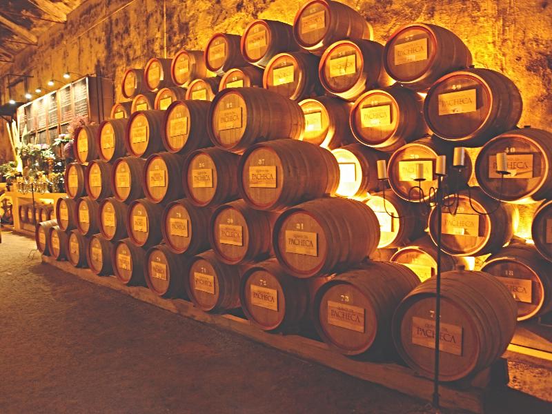The Wine House Hotel - Quinta da Pacheca - Genel