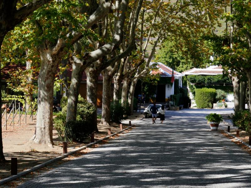 The Wine House Hotel - Quinta da Pacheca - Genel