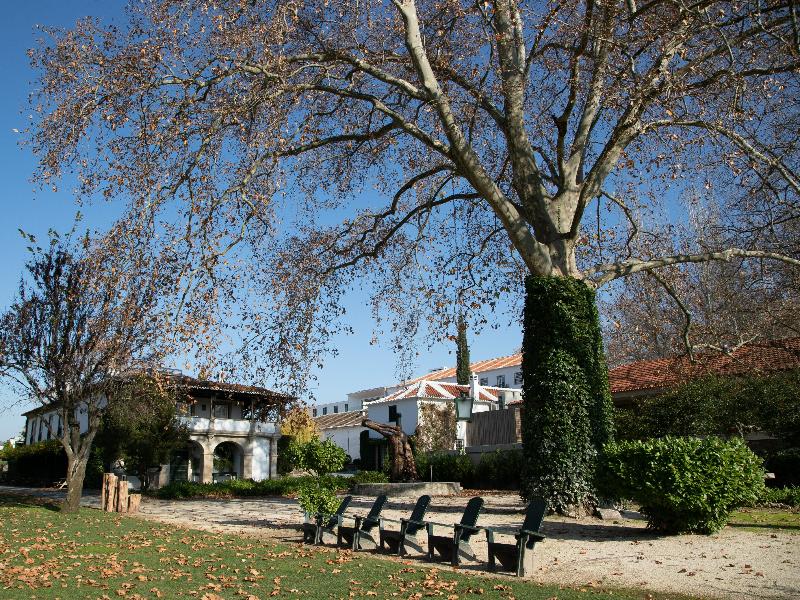 The Wine House Hotel - Quinta da Pacheca - Genel