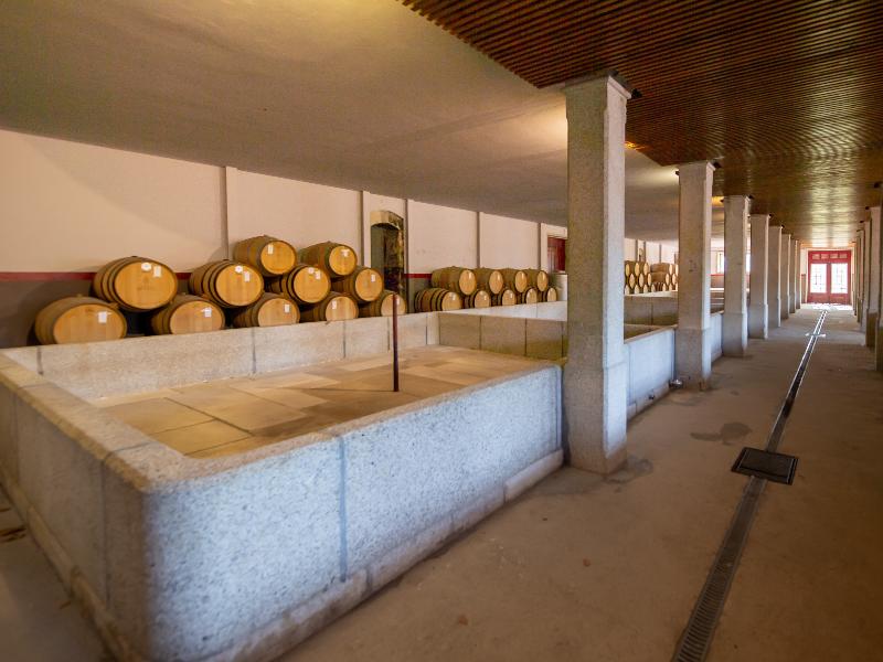 The Wine House Hotel - Quinta da Pacheca - Genel