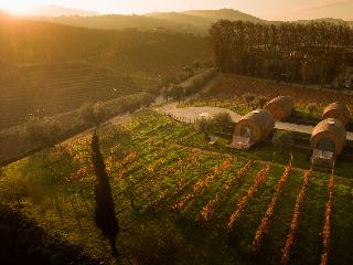The Wine House Hotel - Quinta da Pacheca fotoÄŸrafÄ±
