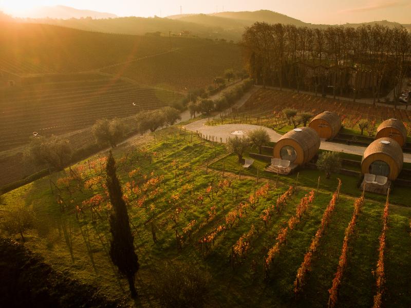 The Wine House Hotel - Quinta da Pacheca - Oda