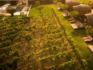 The Wine House Hotel - Quinta da Pacheca fotoÄŸrafÄ±