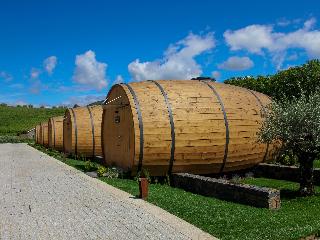 The Wine House Hotel - Quinta da Pacheca fotoÄŸrafÄ±
