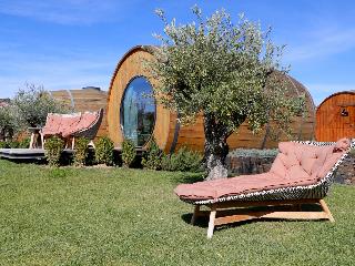 The Wine House Hotel - Quinta da Pacheca fotoÄŸrafÄ±