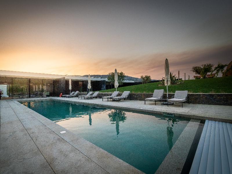 The Wine House Hotel - Quinta da Pacheca - Havuz