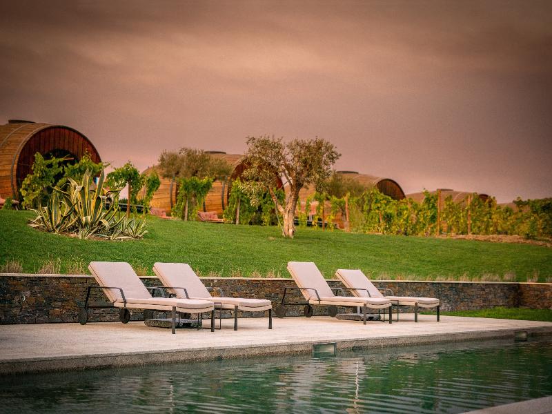 The Wine House Hotel - Quinta da Pacheca - Havuz