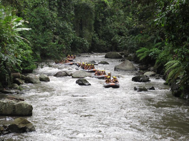 Desa Swan Villas & SPA, Keramas - Aktivite