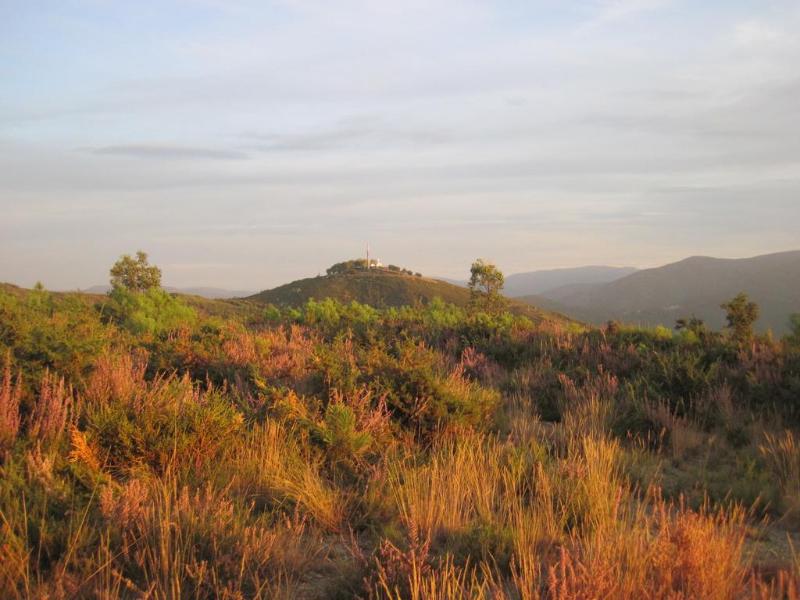 Rural Quinta de Novais - Genel