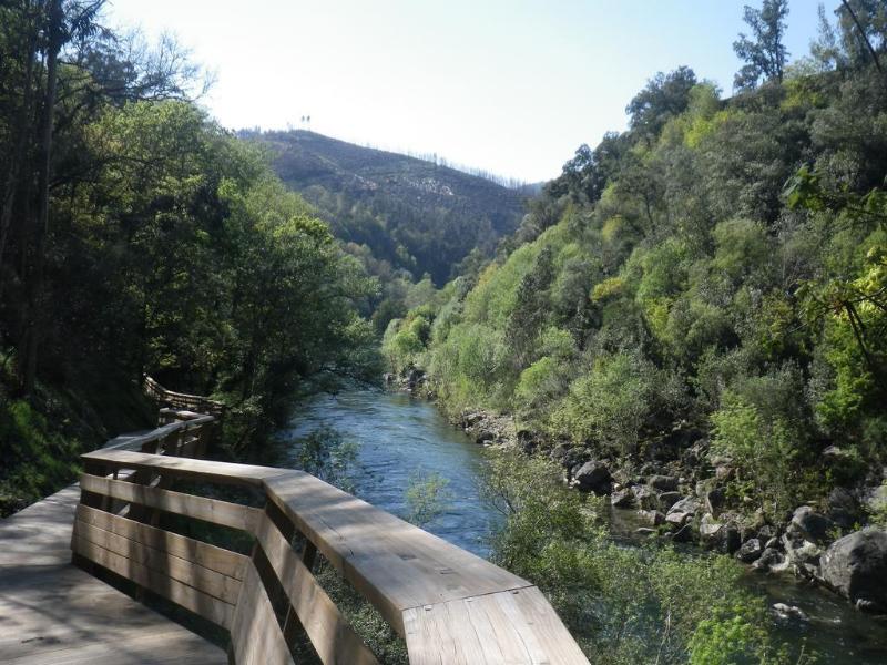 Rural Quinta de Novais - Genel