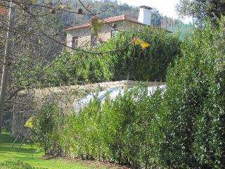 Rural Quinta de Novais fotoÄŸrafÄ±