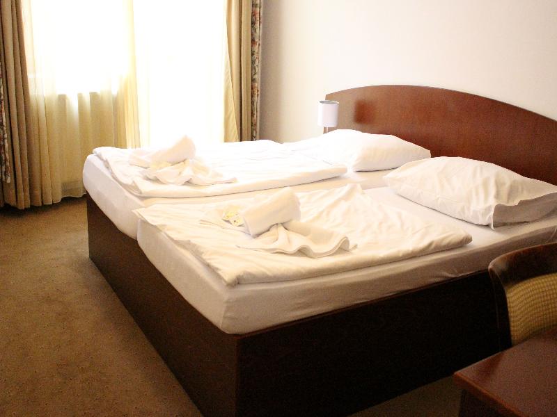 Hotel Petr - Oda