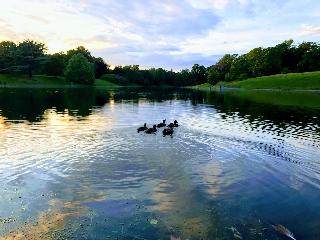 Sefton Park Hotel fotoÄŸrafÄ±