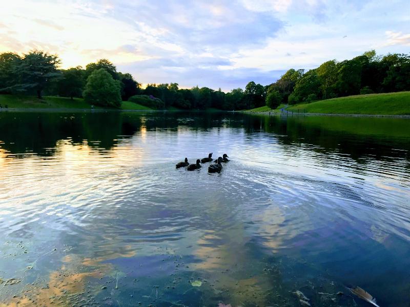 Sefton Park Hotel - Genel