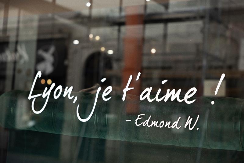 Hotel Edmond W Lyon la Part-Dieu - Genel