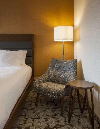 Hilton Garden Inn Long Island City New York fotoÄŸrafÄ±