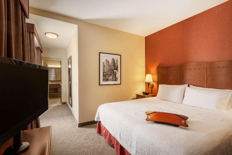 Hampton Inn Manhattan/Downtown- Financial District - Oda