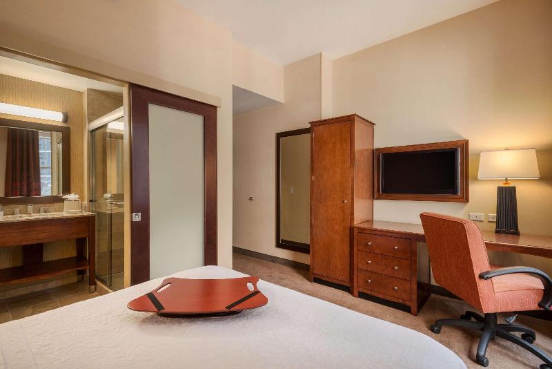 Hampton Inn Manhattan/Downtown- Financial District - Oda