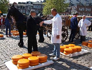 City Hotel Gouda, WorldHotels Crafted fotoÄŸrafÄ±