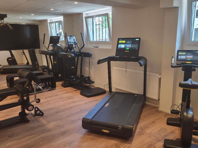 Mercure Fribourg Centre Remparts - Aktivite