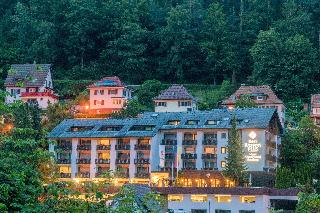 Best Western Hotel Schwarzwald Residenz fotoÄŸrafÄ±