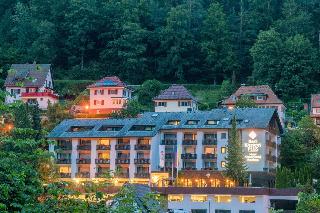 Best Western Hotel Schwarzwald Residenz fotoÄŸrafÄ±