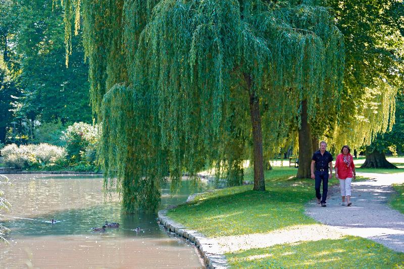 Best Western Premier Parkhotel Bad Mergentheim - Genel