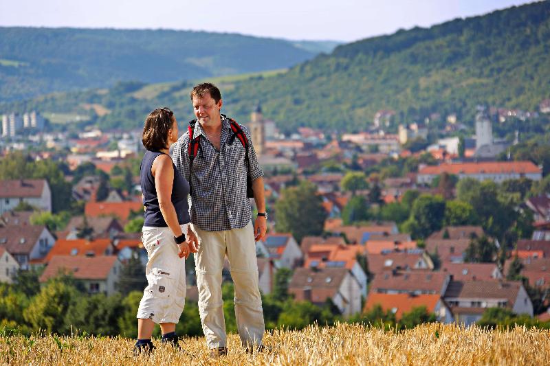 Best Western Premier Parkhotel Bad Mergentheim - Genel