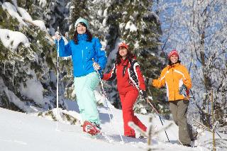 Best Western Ahorn Htl Oberwiesenthal Adults Only fotoÄŸrafÄ±