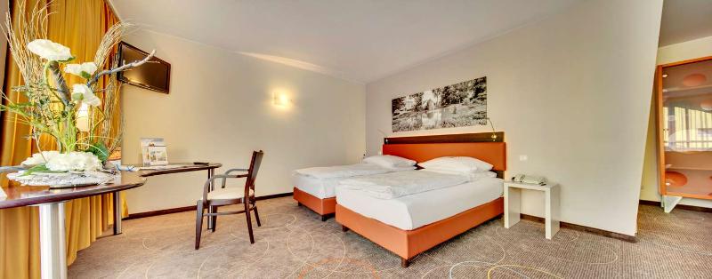 Best Western Hotel Wetzlar - Oda