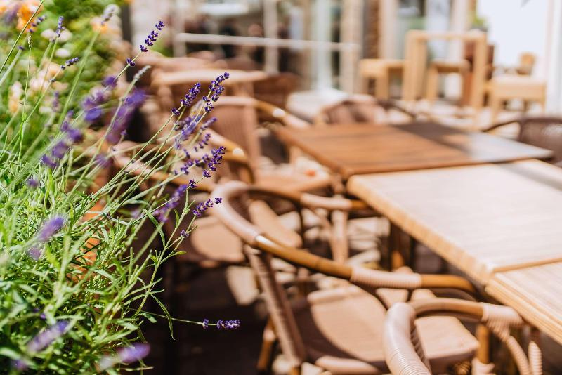Best Western Hotel Willingen - Genel