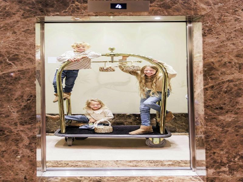 The Ritz-Carlton, Vienna - Genel